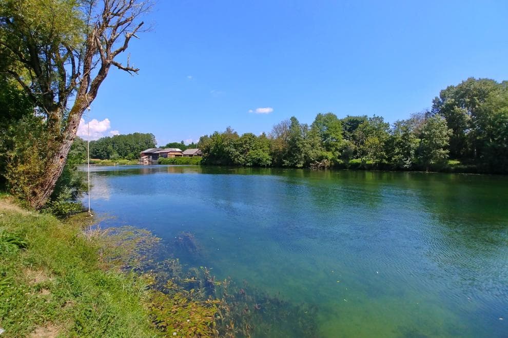 KAMP PEZDIRC, GRIBLJE