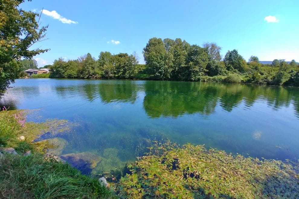 KAMP PEZDIRC, GRIBLJE
