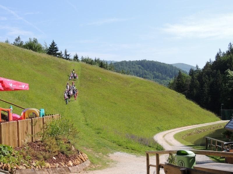 KAMP STESKA, ŠPORTNI RIBOLOV, PRODAJA SVEŽIH RIB