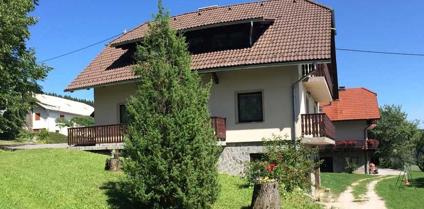 TURISTIČNA KMETIJA PAČNIK, ZREČE