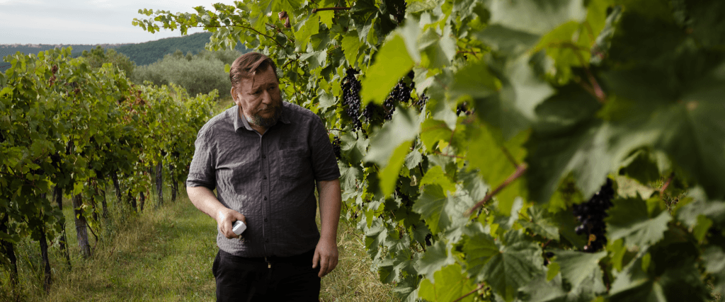 KMETIJA BORDON, DRUŽINSKO VINOGRADNIŠTVO, DEKANI