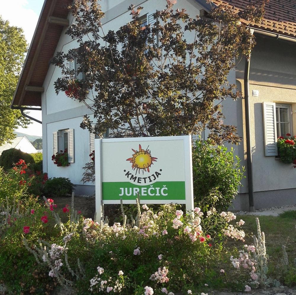 KMETIJA JUREČIČ, PROIZVODNJA SADIK, PODBOČJE