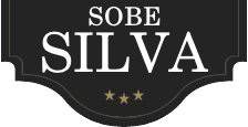 APARTMENTS TOLMIN, SOBE SILVA