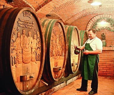 IZLETNIŠKA KMETIJA VINARIUM, BOGOJINA