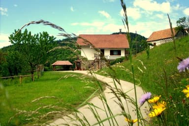 TURISTIČNA KMETIJA RAVNIČAN, ZREČE