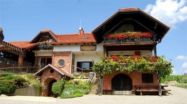 TURISTIČNA KMETIJA IN VINSKA KLET PUHAN, BOGOJINA