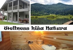 WELLNESS FINSKA HIŠA NATURA - RAKITNA, PRESERJE logo