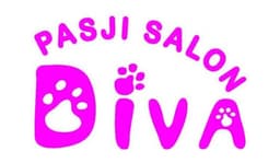 PASJI SALON DIVA, LANA PREMK S.P., LJUBLJANA logo