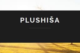 PLUS HIŠA INŽENIRING, VIPAVA logo