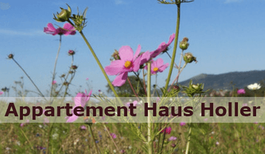 APARTMA HOLLER, ST. GEORGEN AM KREISCHBERG