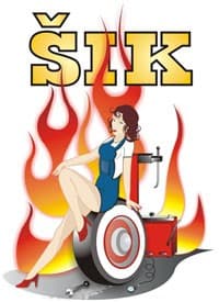AVTOSERVIS VULKANIZERSTVO/ČRNOMELJ