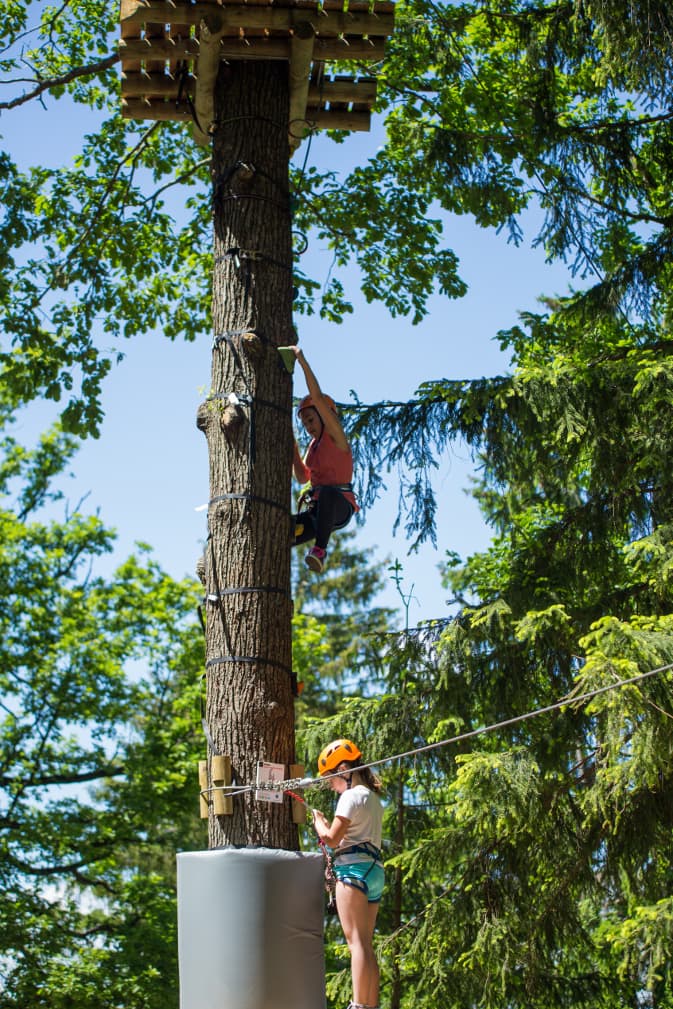ZIMSKA ŠOLA V NARAVI in POLETNA ŠOLA V NARAVI ponudba Celjska Koča