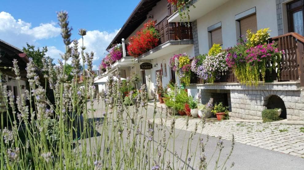 RESTAVRACIJA, SOBE PIVKA, BAZEN, TURISTIČNA KMETIJA PRI ANDREJEVIH