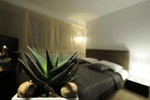 ROOMS TRZIN BRUNCHES AND LUNCHES cover