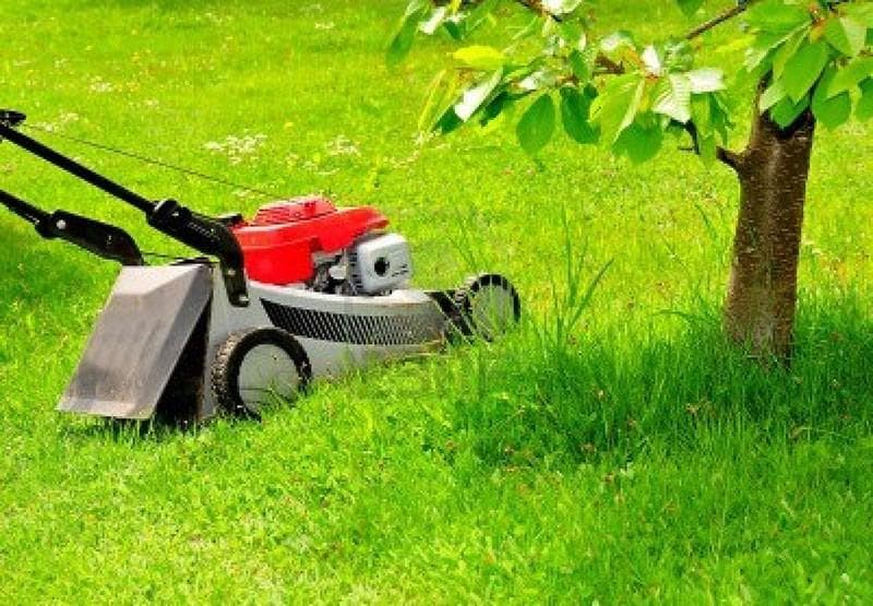 SELITVENI PREVOZI IN UREJANJE OKOLICE SAMO JEŽ, MEŽICA