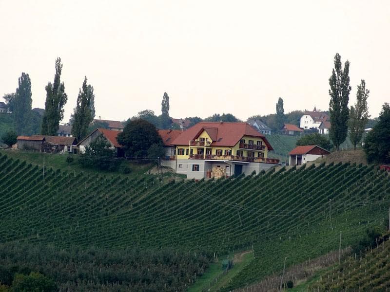 SVEČINA DOMAČE VINO SOBE NA KMETIJI UGODNE NOČITVE TURISTIČNA KMETIJA KMEČKE POJEDINE