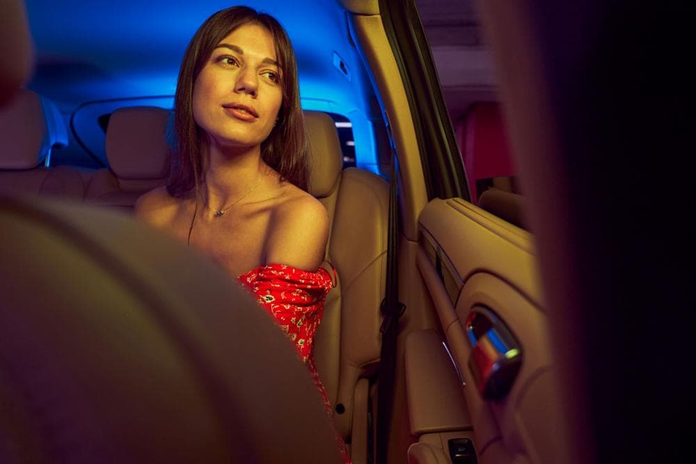 POCENI TAKSI, TAXI CENIK, TAKSI ALMA KAMNIK, MENGEŠ, DOMŽALE, BRNIK, LJUBLJANA