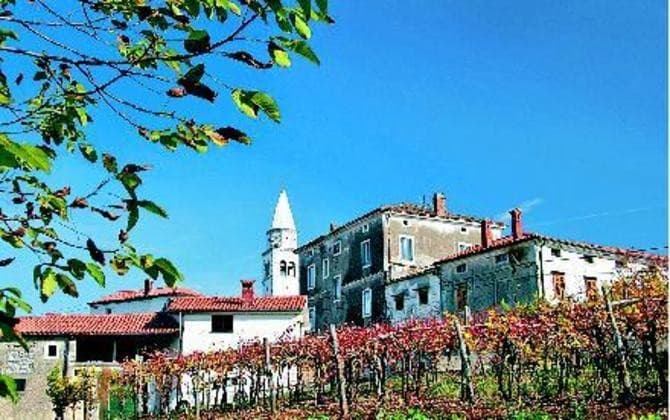 TERAN, MALVAZIJA, DOMAČA VINA, SOKOVI IN DOMAČA HRANA, KMETIJA VRABEC, DUTOVLJE