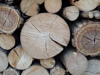 POSEK, SEČNJA IN SPRAVILO SUHEGA LESA, DRVA ZA KURJAVO, RIBNICA, LOŠKI POTOK GOZDARSKE STORITVE ŽAG