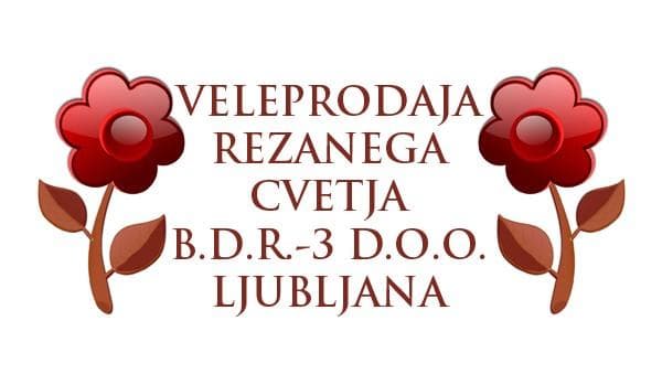 B.D.R.-3 D.O.O., Storitve za rastlinsko pridelavo cover