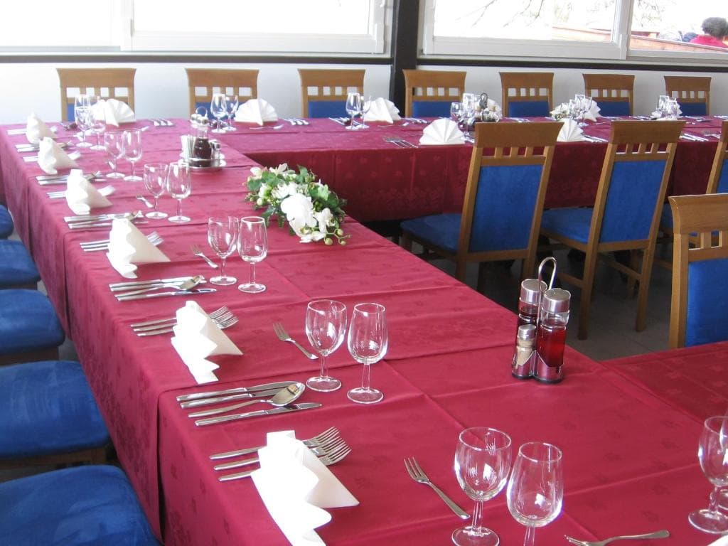 PRI RUDIJU CATERING DOBRE PICE MALICE ŠALOVCI SOBE