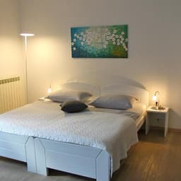 APARTMENT BOVEC - ŽAGA BABAN logo