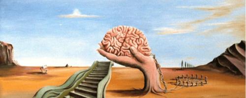 KROMOTERAPIJA, KROMOPUNKTURA, SALON ZA NEGO TELESA, ELIDA BORDON, KOPER