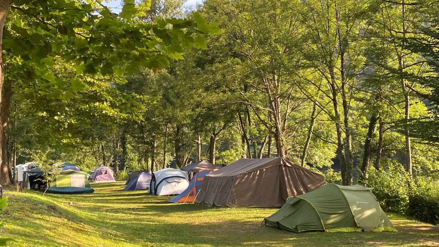 KAMP