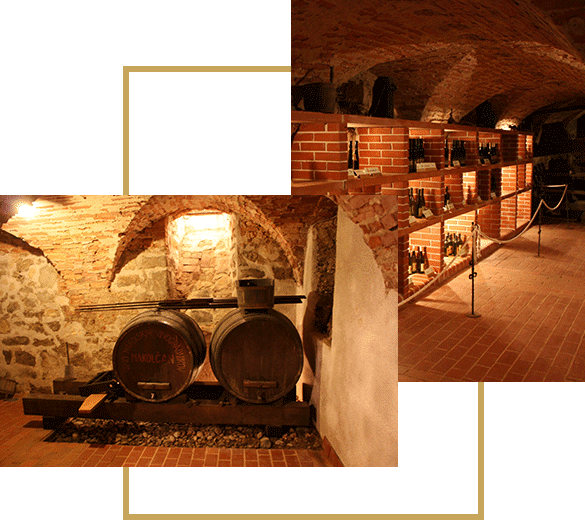 Poroke, obletnice, restavracija dvorec štatenberg, makole