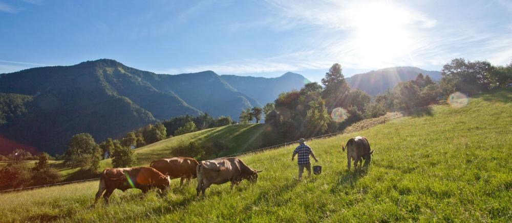 Tourist farm rooms, Cerkno