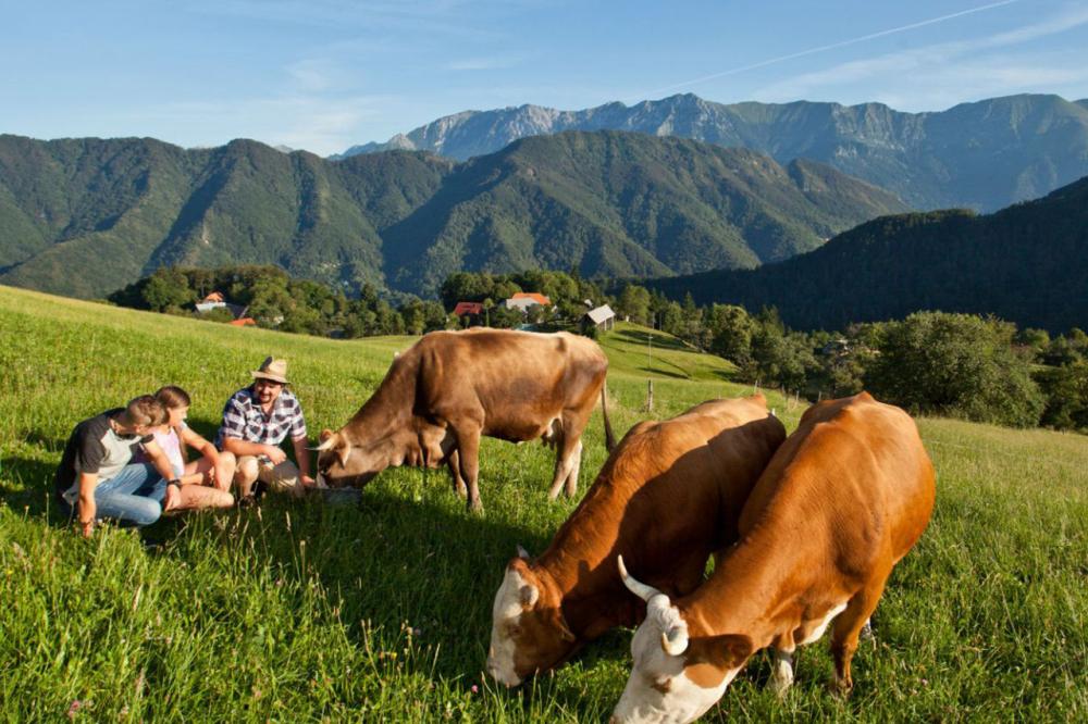Tourist farm rooms, Cerkno