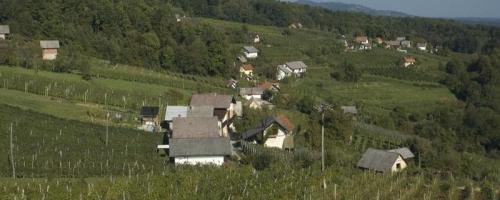 PRENOČIŠČA, SOBE, NASTANITVE, APARTMA, DOMAČIJA ČRNIČ, METLIKA