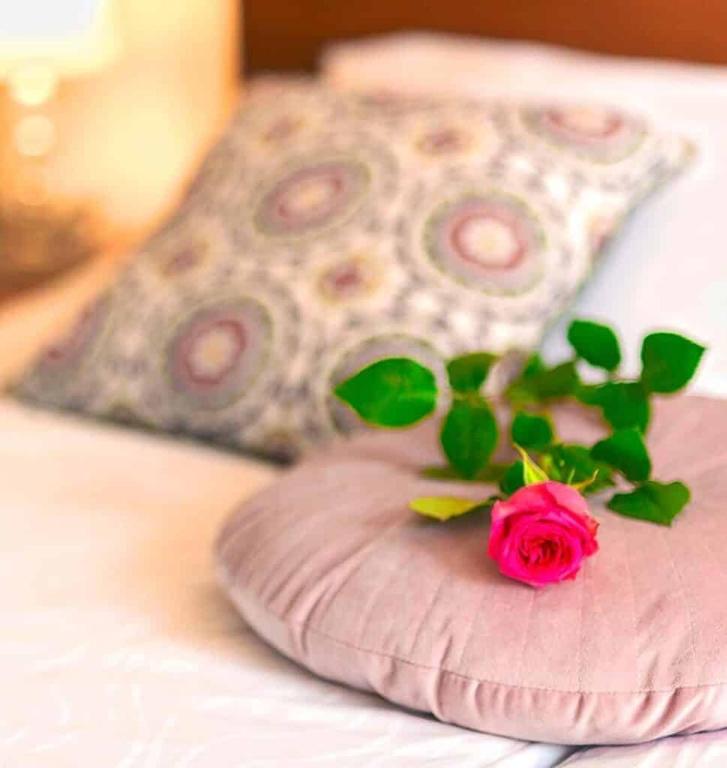 Nočitve, sobe z zajtrkom, apartmaji, zasebna spa razvajanja, termalno kopanje, vila aina, laško