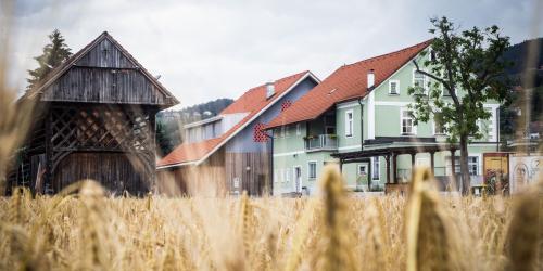 MLADINSKI CENTER ŠMARTNO OB PAKI, kultura, izobraževanje in šport