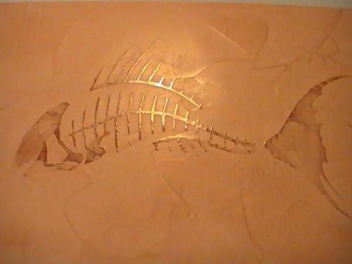 PLESKANJE BELJENJE KOČEVJE SLIKOPLESKARSKA DELA