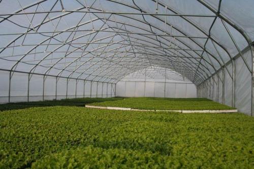 VRTNI RASTLINJAKI  NAMAKALNI SISTEMI