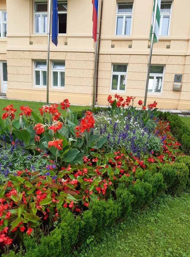 Vzgoja in prodaja sadik, okrasnih sadik, zelenjave, urejanje okolja, Rogaška Slatina