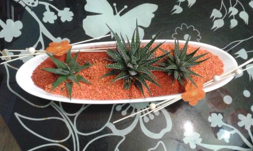 CVETLIČARNA PALAŠKA, CVETLIČNI ARANŽMAJI, VENCI, VRTNICE PO NAROČILU, LAŠKO