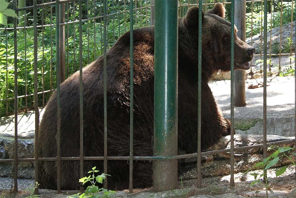 Zoo Rozman Horjul Zivalski vrt