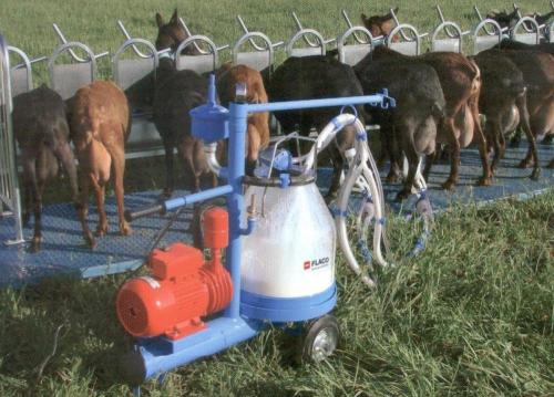 FARMER RAČUNOVODSKI SERVIS, ŠENTVID PRI STIČNI, MOLZNI STROJI PRODAJA