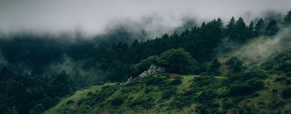 Geodetske storitve Velenje