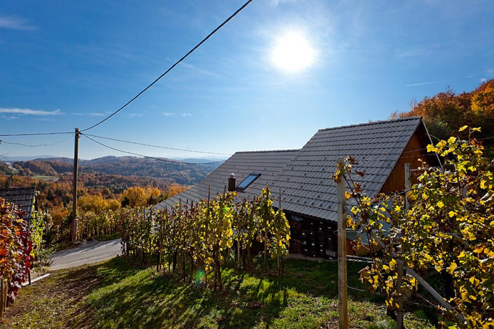 GOSTILNA MEGLIČ, TREBNJE