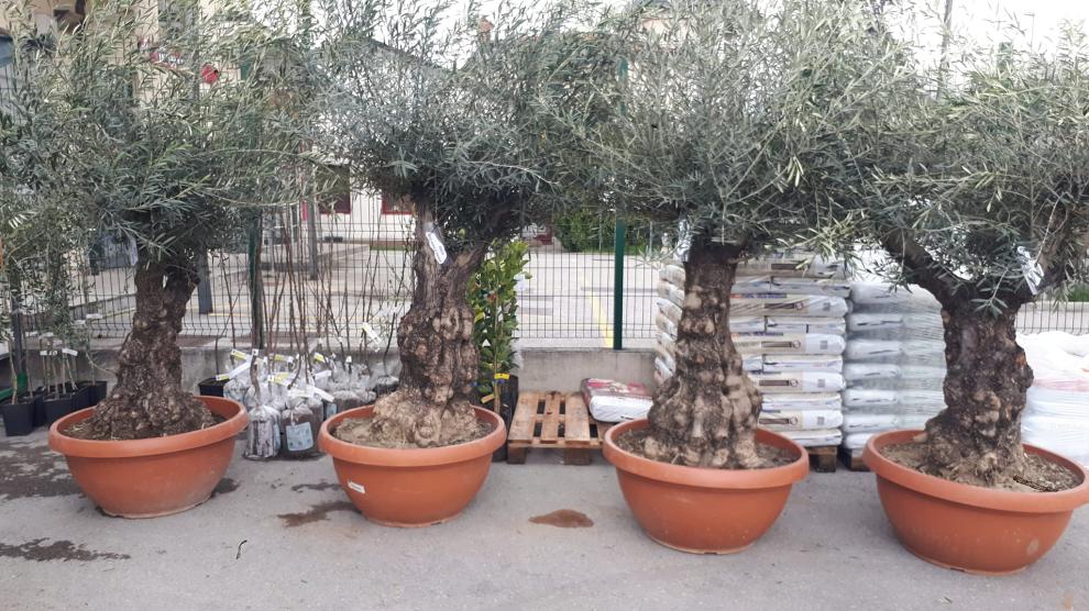 Trgovina s kmetijskim in gradbenim materialom