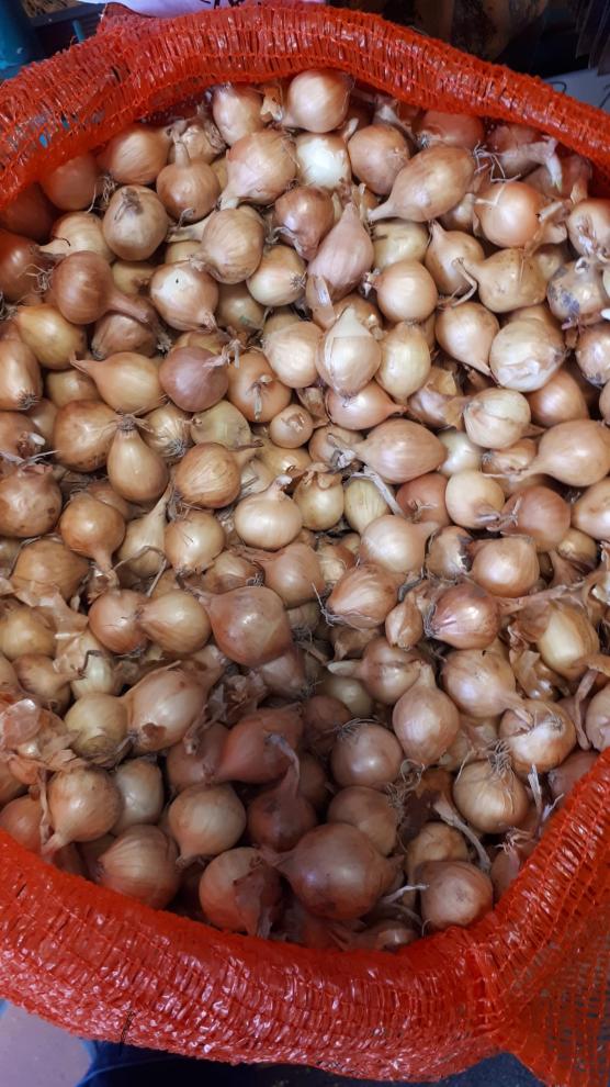Trgovina s kmetijskim in gradbenim materialom