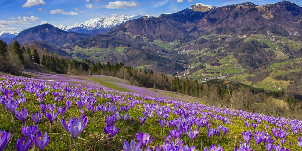 APARTMAJI PRI MARJETKI, CERKNO