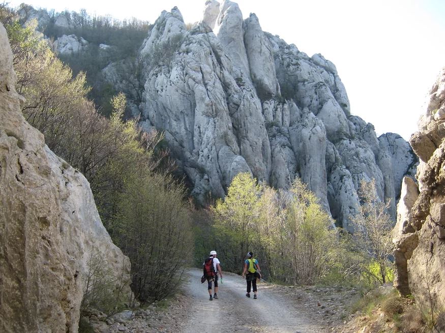 Kavarna bed, dvor tacen, Ljubljana