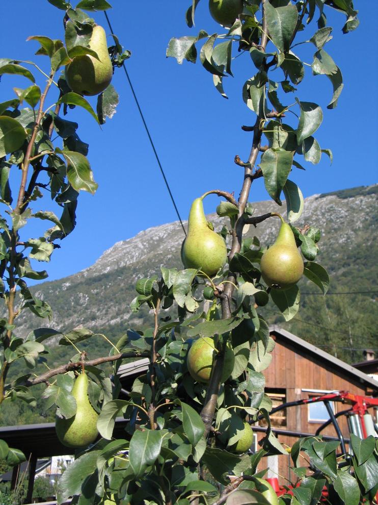 Agriturismo Kobarid
