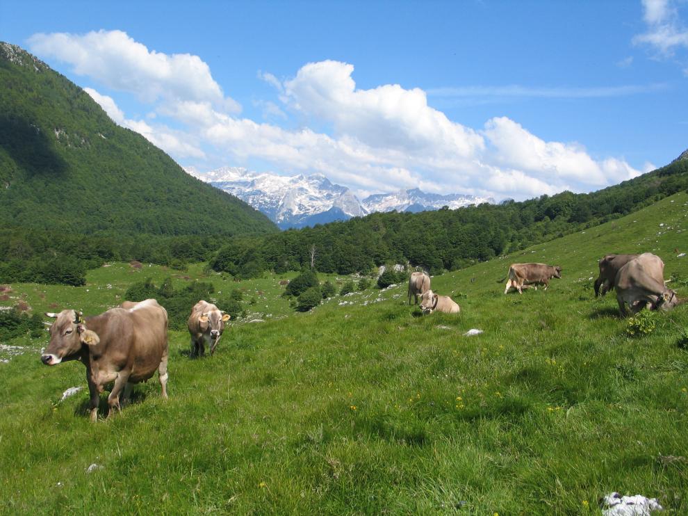 Agriturismo Kobarid