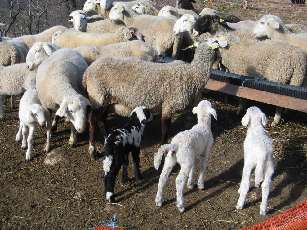 Agriturismo Kobarid