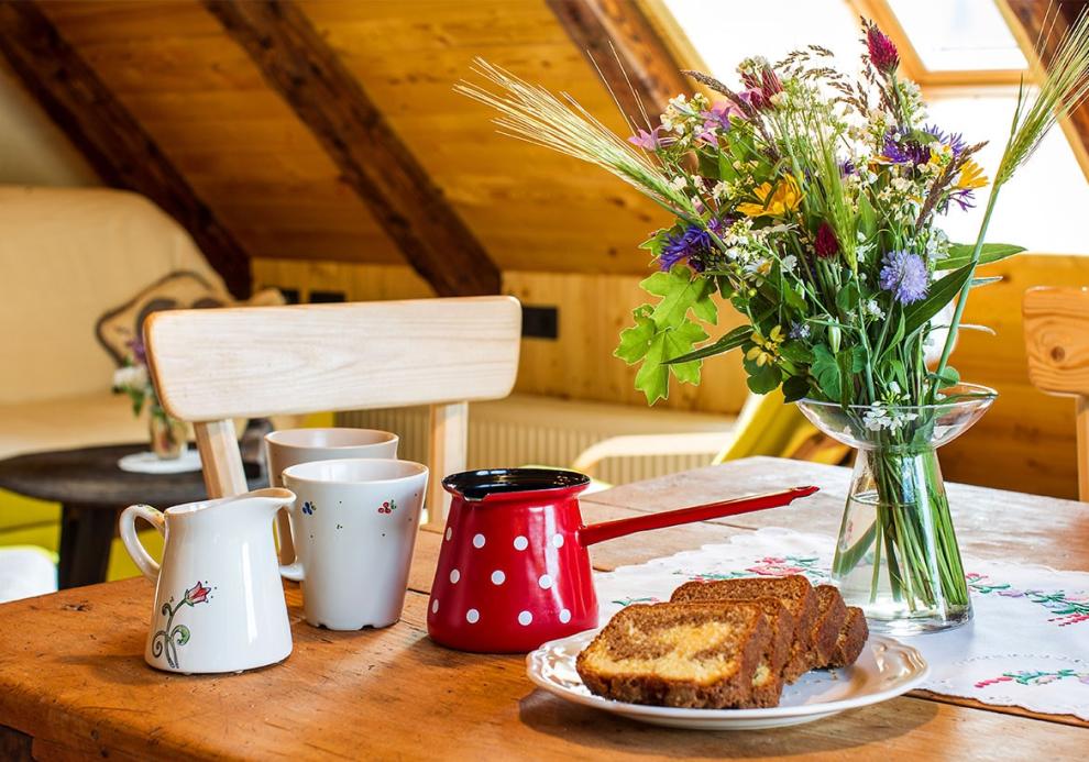 Turistična kmetija apartmaji Laško